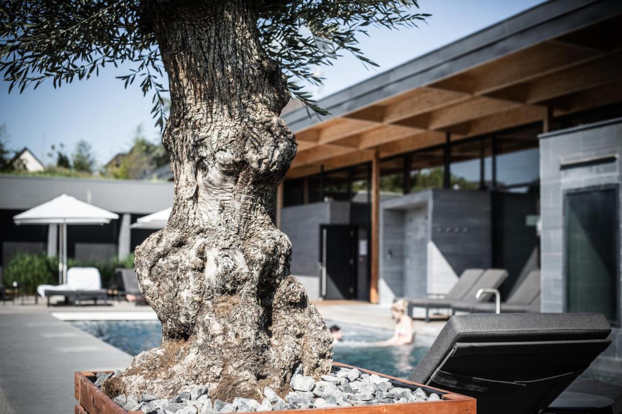 La Source Des Sens (Adults Only) Hotell Morsbronn-les-Bains Eksteriør bilde